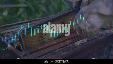 Beekeeper wearing gloves holding honeycomb frame, examining digital chart overlay in garden apiary. Agriculture, stewardship, science, conservation, d Stock Photo