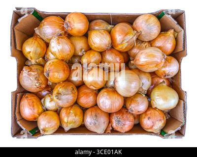 Golden yellow onions in a cardboard box top view, isolated on white with clipping path included Stock Photo