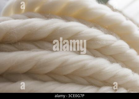 Macro of undyed wool roving showing soft natural fibers for spinning, felting, knitting and sustainable textile production. Stock Photo