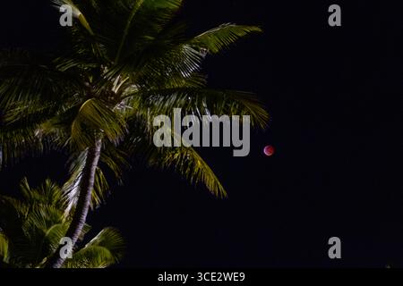 Blood moon during a partial lunar eclipse, January 20th 2019, Waimea, Kauai, Hawaii, USA Stock Photo