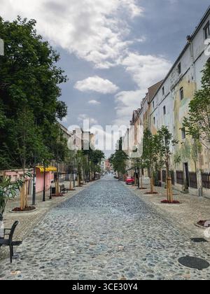 A scenic view of a cobblestone street lined with pastel buildings and young trees. The peaceful, empty street stretches into the distance creating a c Stock Photo