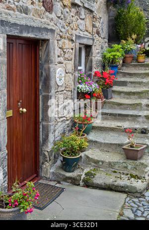 Garden scene with plant pots filled with wild flowers a watering can ...