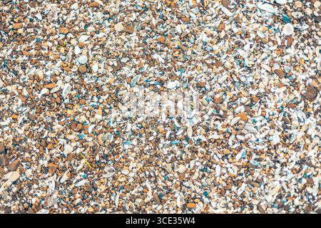 Beach shell rock as background and texture Stock Photo