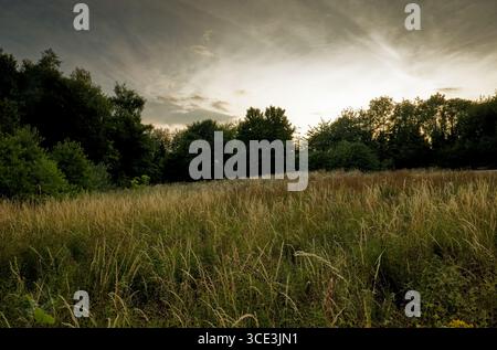 A dramatic watery sunset over an area of long wild grassland with woodland in the background, Sprotbrough, Doncaster, South Yorkshire. Stock Photo