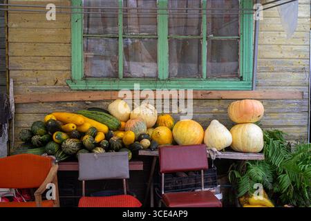 Various pumpkins and squashes displayed on tables outside old wooden house. Stock Photo