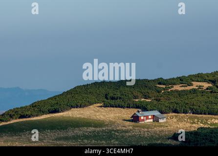 Isolated red barn with metal roof on grassy hillside, surrounded by green shrubs and clear blue sky Stock Photo