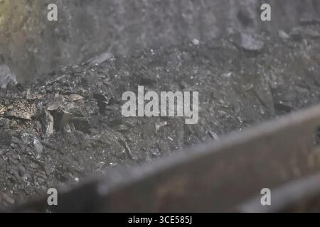 Small stones and coal crumbs of anthracite coal scattered Stock Photo