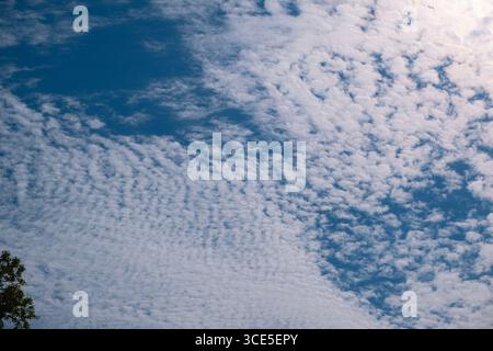 View of the sky in which fleecy clouds can be seen Stock Photo