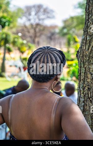 cornrow braids hairstyle african woman, standing outdoors in the nature next to a tree, sunny day Stock Photo