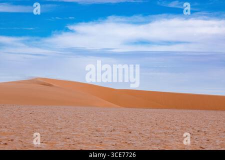 Expansive Sahara Sand Dunes beneath a Bright Blue Sky Stock Photo