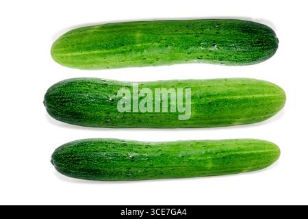 Cucumber isolated on white background, fresh cucumbers Stock Photo