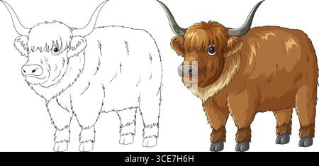 Cartoon-style Scottish Highland cow shown in both full color and black-and-white line art, front-facing, with detailed fur and large horns Stock Vector