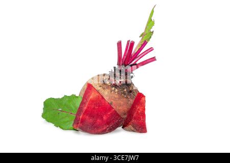 Closeup beetroot (beet root) and cut in half sliced isolated on white background. Stock Photo