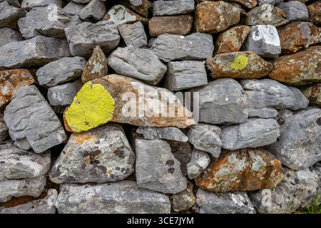 Lichen on dry stone wall, a common sight, forming various patterns and colours on surfaces like walls, paving, and even rocks. Stock Photo