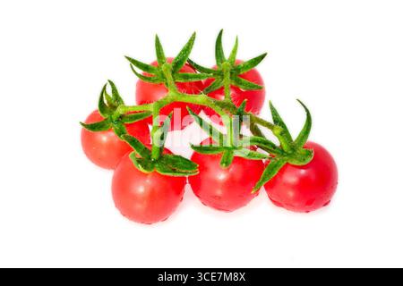 Tomatoes isolated on white background, tomato with water drops Stock Photo