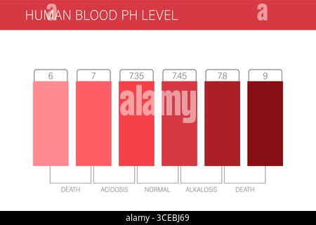 Ph blood scale. Normal human blood ph Level. Health care concept. Flat Vector illustration Stock Vector