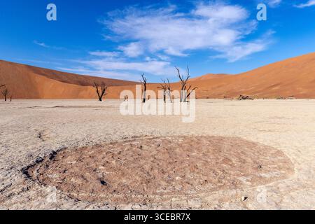 Circular shape in Deadvlei's dry clay pan - Namib-Naukluft National Park, Namibia, Africa Stock Photo