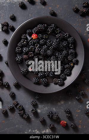 A plate of freshly picked blackberries Stock Photo