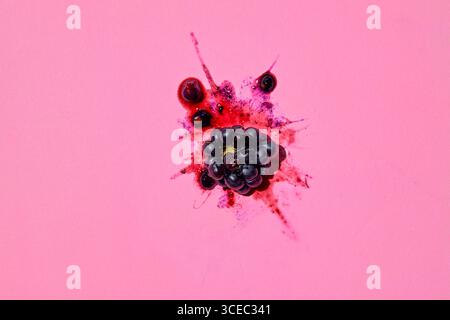Smashed blackberry with juice on pink background Stock Photo
