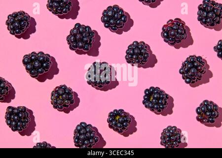 Pattern of fresh blackberries on pink background. Stock Photo