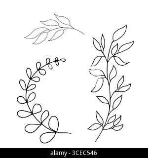 A branch with delicate thin leaves, sketch in a simple style. Vector illustration. The branches of an olive tree and willow tree are isolated on white Stock Vector