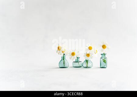 Aesthetic display of white summer daisies in three small blue glass vases placed on a soft, light background, capturing a serene and tranquil interior Stock Photo