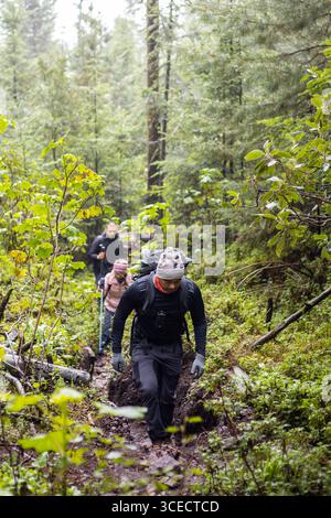 A group of hikers navigates a lush, green forest, trekking along a muddy trail surrounded by vibrant foliage. Equipped with backpacks, they enjoy natu Stock Photo