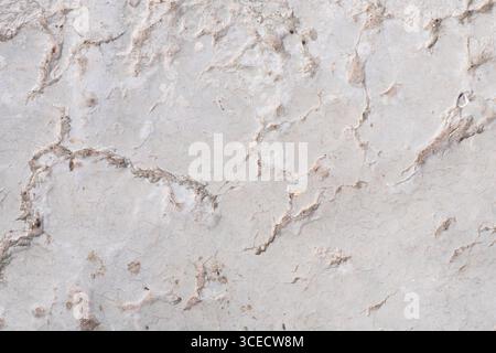 Close up image of a textured grey stone surface featuring natural cracks and patterns. The rough texture and earthy tones create a rustic, organic aes Stock Photo