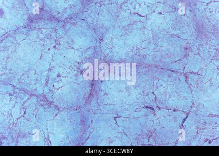 A striking blue textured surface showcasing intricate natural patterns resembling marble or stone. The design features subtle variations in color with Stock Photo