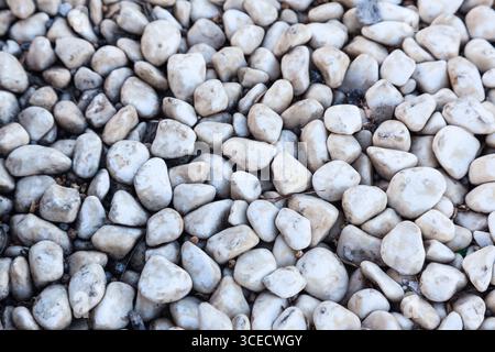 Small smooth sea pebbles of light gray color, close-up. Stock Photo