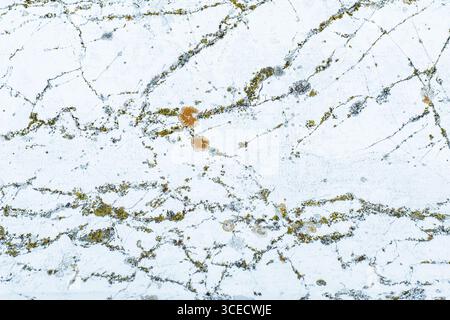 Close-up of a white marble surface with intricate, natural veining patterns in contrasting colors. The texture showcases organic lines and earthy tone Stock Photo