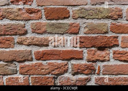 A close-up view of a rustic red brick wall showcasing its rough, textured surface. The uneven bricks create a detailed and patterned background, ideal Stock Photo