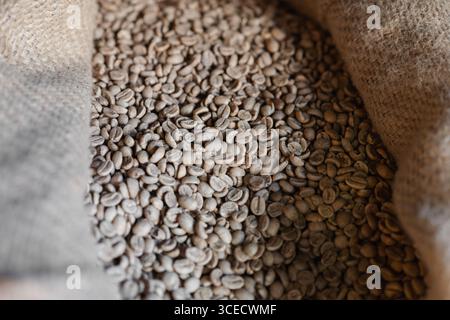 A close-up view of unroasted coffee beans nestled in a burlap sack, showcasing the raw materials used in the artisanal coffee roasting process within Stock Photo