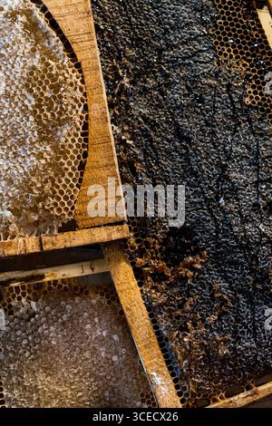 Close up image of a honeycomb filled with natural golden honey, showcasing the intricate hexagonal pattern and rich textures. Perfect representation o Stock Photo