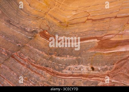 Close-up image of sandstone showcasing intricate layers with earthy tones. The abstract patterns form a natural art piece, ideal for backgrounds and a Stock Photo