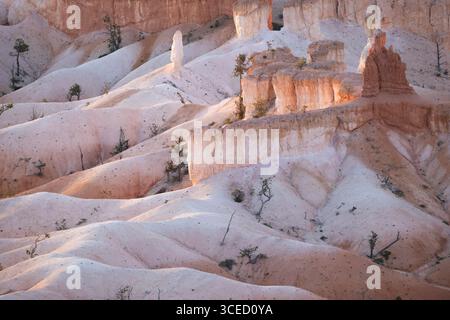 Beautiful rock formations bathed in soft light at Bryce National Park. The unique geological structures create a mesmerizing and tranquil landscape sc Stock Photo