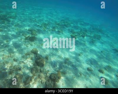 Clear underwater view of a rocky sea floor with sunlight creating ripples and patterns, showcasing shallow tropical ocean environment. Selective focus Stock Photo