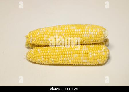 Three raw cobs of sweet corn against background. Tasty sweet corn on cobs Stock Photo