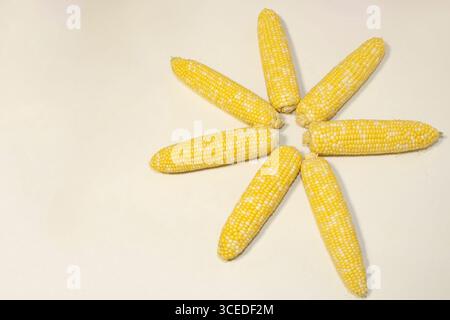 Seven raw ears of sweet corn in the shape of a star in the background. Sweet corn ears. Stock Photo