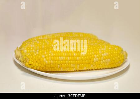 Three cooked cob of sweet corn on white plate against background. Tasty sweet corn on cob. Stock Photo