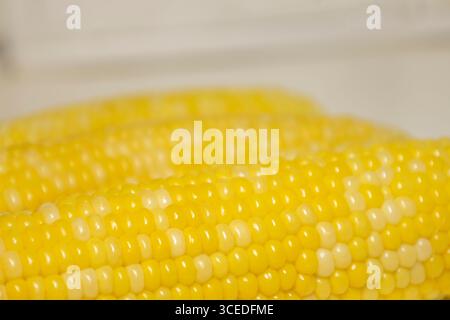 Close cooked cob of sweet corn against background. Tasty sweet corn on cob. Stock Photo
