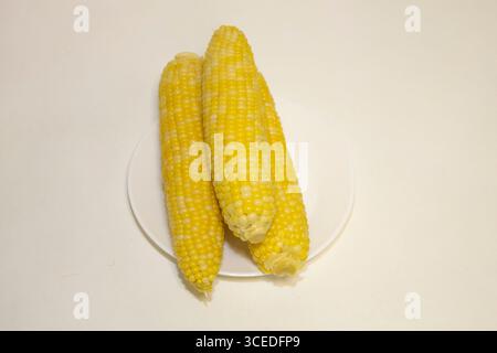 Three cooked cob of sweet corn on white plate against background. Tasty sweet corn on cob. Stock Photo