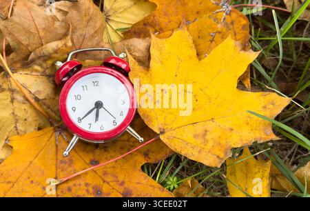 Alarm clock in colorful autumn leaves isolated against a white background with light shadow and shallow depth of field. Daylight savings time concept. Stock Photo