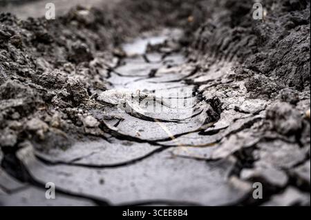Close up view of tire tracks imprinted on cracked, dark gray mud. The texture is rough and uneven, showing deep grooves and fissures in the mud. The l Stock Photo