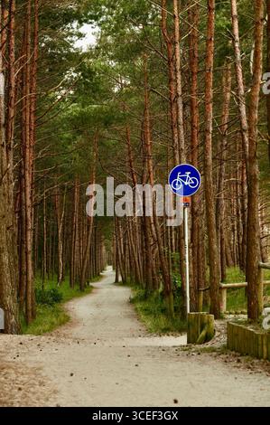 Traffic sign in a pine forest. The road goes into the distance. Stock Photo