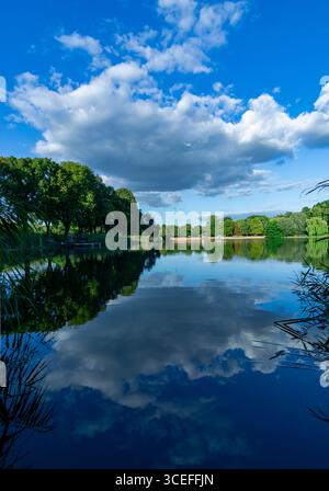 Orankesee in Berlin, vertical lake view with cumulus cloud centered in the sky and mirrored in calm summer water. Stock Photo