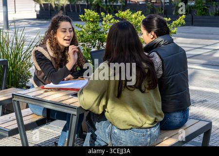 Three university students are working together on a project outdoors, using a laptop and notebooks Stock Photo
