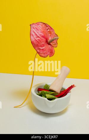 Anthurium flower, avan and swiss chard leaves on yellow and white background. Still life Stock Photo