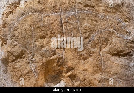 Prehistoric cave wall etching of a horse, Lady of Cavillon cave, Baousse Rousse cave, Liguria, Italy Stock Photo