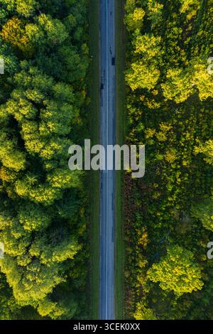 Drone aerial view of straight road cutting through dense green forest in Lithuania, scenic natural landscape, travel, environment and transportation Stock Photo